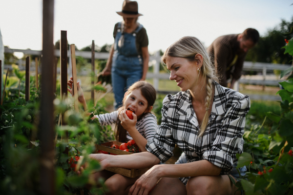 A happy little farmer girl with mother and family working outdoors at garden.