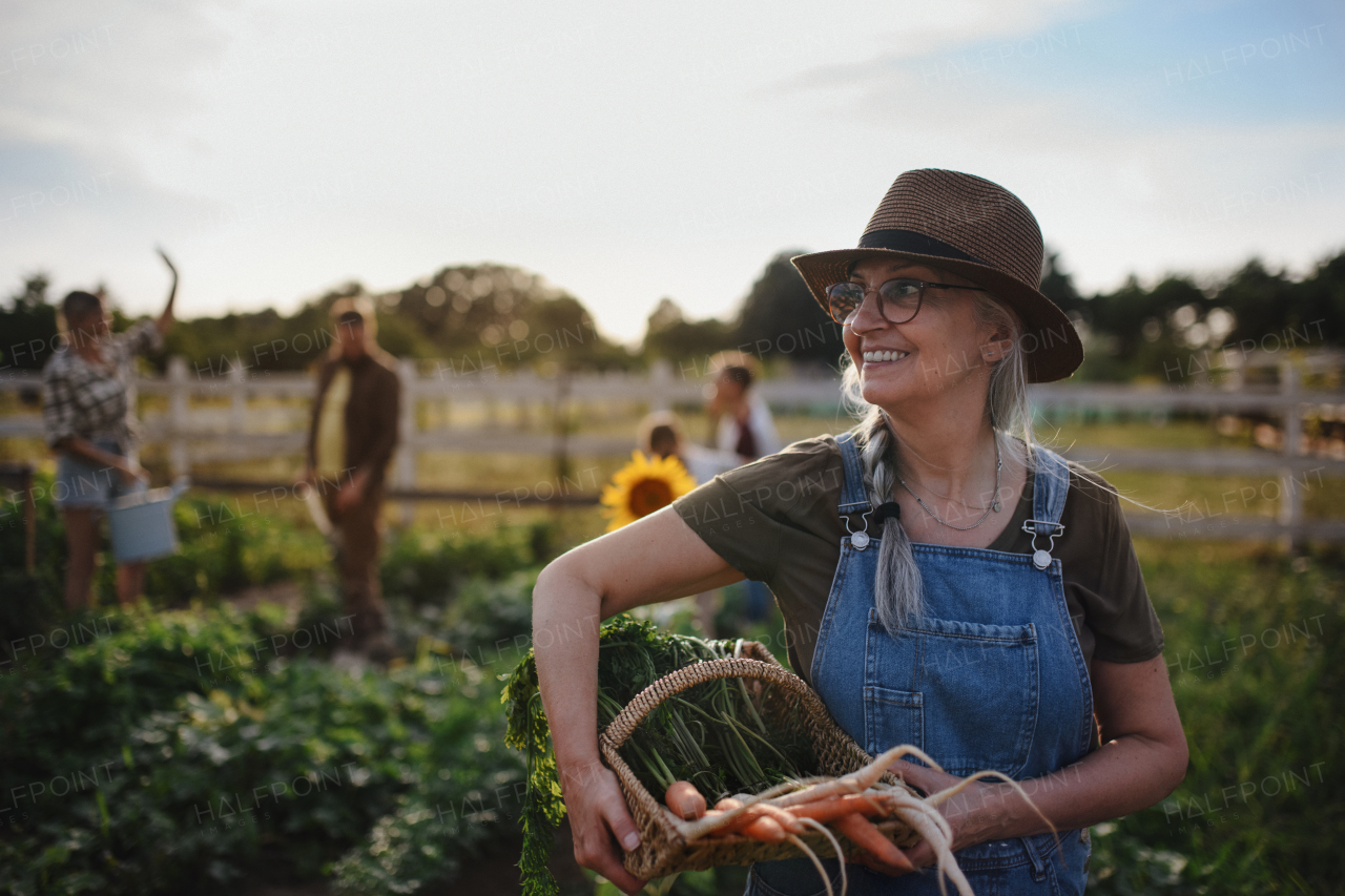 A senior female farmer carrying basket with homegrown vegetables outdoors at community farm.