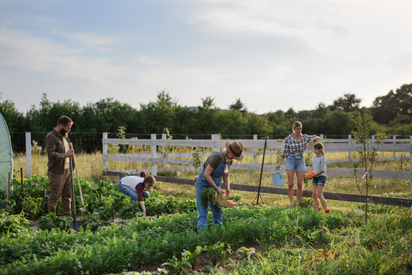 Happy young and old farmers or gardeners working outdoors at a community farm.