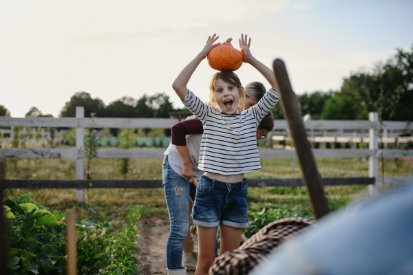 A happy little farmer girl holding organic pumpkin outdoors at community farm.