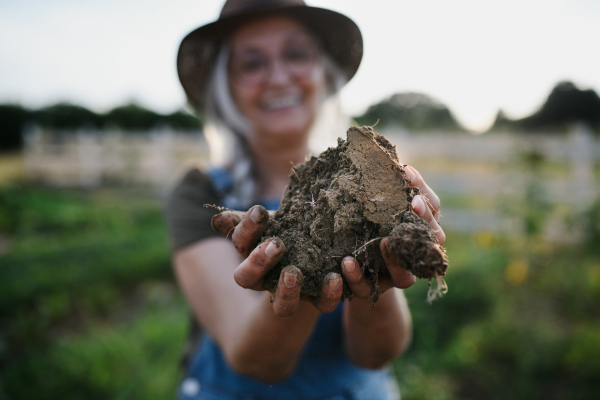 A close up of female famer hands holding soil outdoors at community farm.