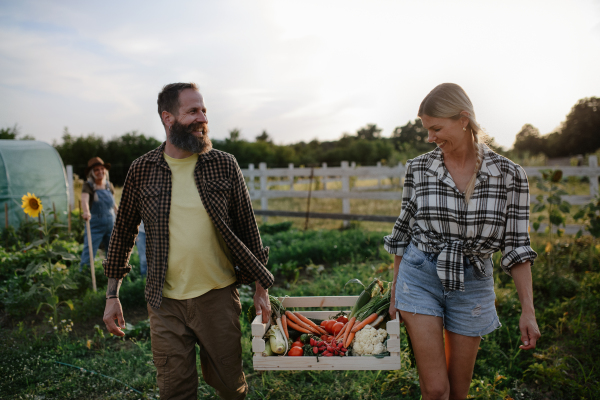 A happy mid-adult couple carrying crate with homegrown vegetables at community farm.