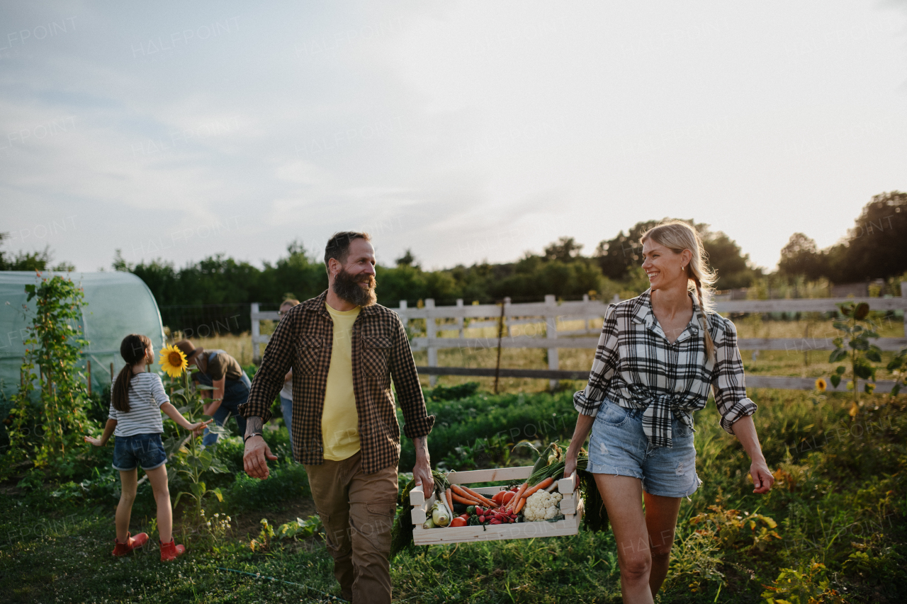 A happy mid-adult couple carrying crate with homegrown vegetables at community farm.