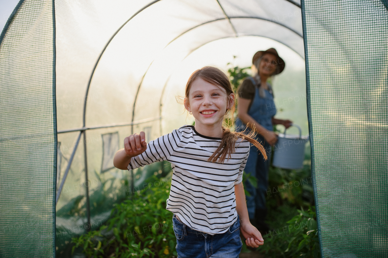 A portrait of happy little farmer girl with grandmother in greenhouse, looking at camera.