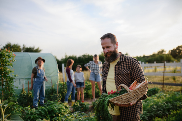 A happy mature man carrying crate with homegrown vegetables at community farm.