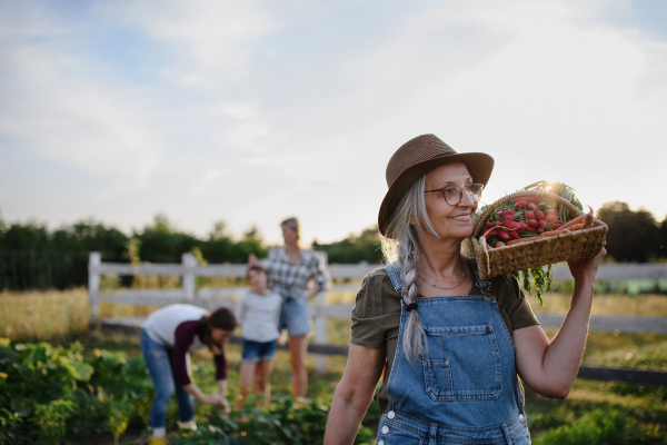 A senior female farmer carrying basket with homegrown vegetables outdoors at community farm.