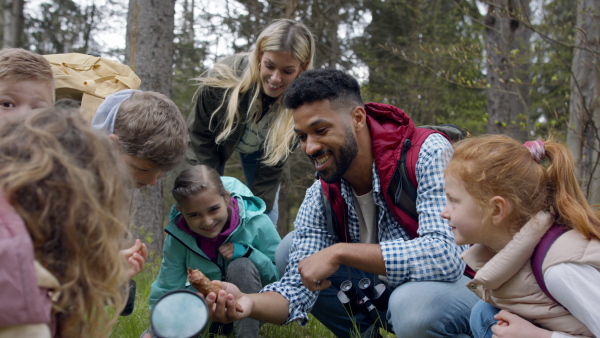 An african-american teachers with group of small children outdoors in nature, learning group education concept.