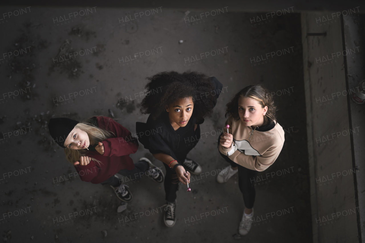 Top view of group of teenagers girl gang with lollipops indoors in abandoned building, looking at camera.