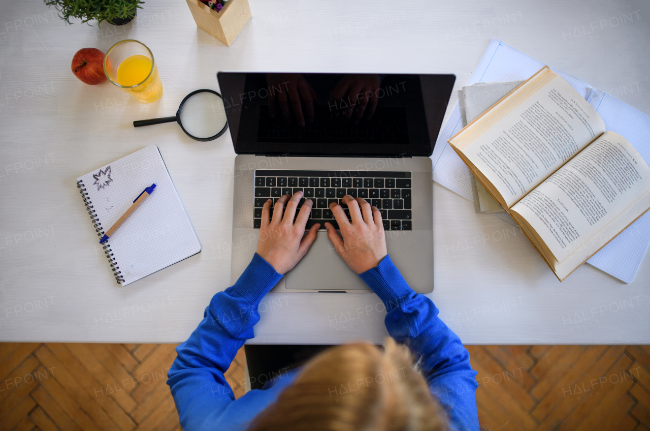 A top view of schoolgirl learning online indoors at home, coronavirus concept.