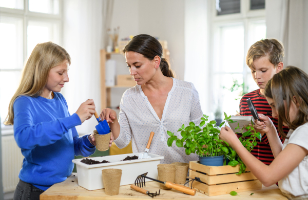 Group of homeschooling children with parent teacher planting herbs indoors, coronavirus concept.