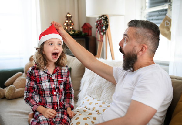 Portrait of father with small daughter indoors at home at Christmas, having fun.