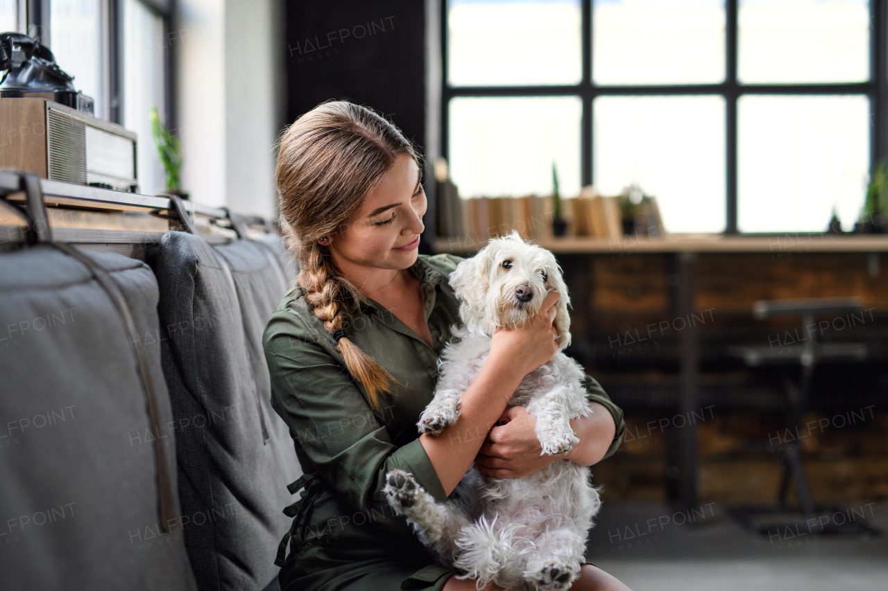 Portrait of young business woman playing with dog sitting indoors in office.