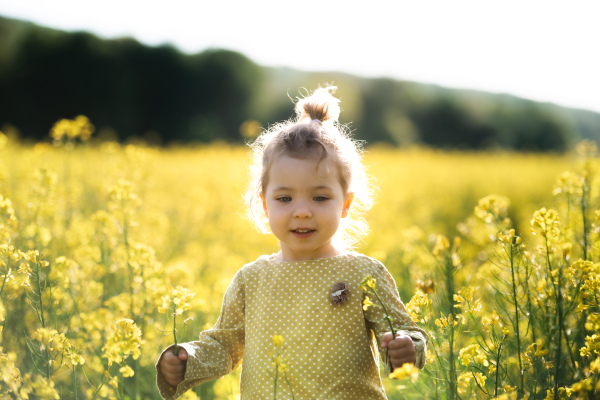 Front view of happy small toddler girl standing in spring nature in rapeseed field.