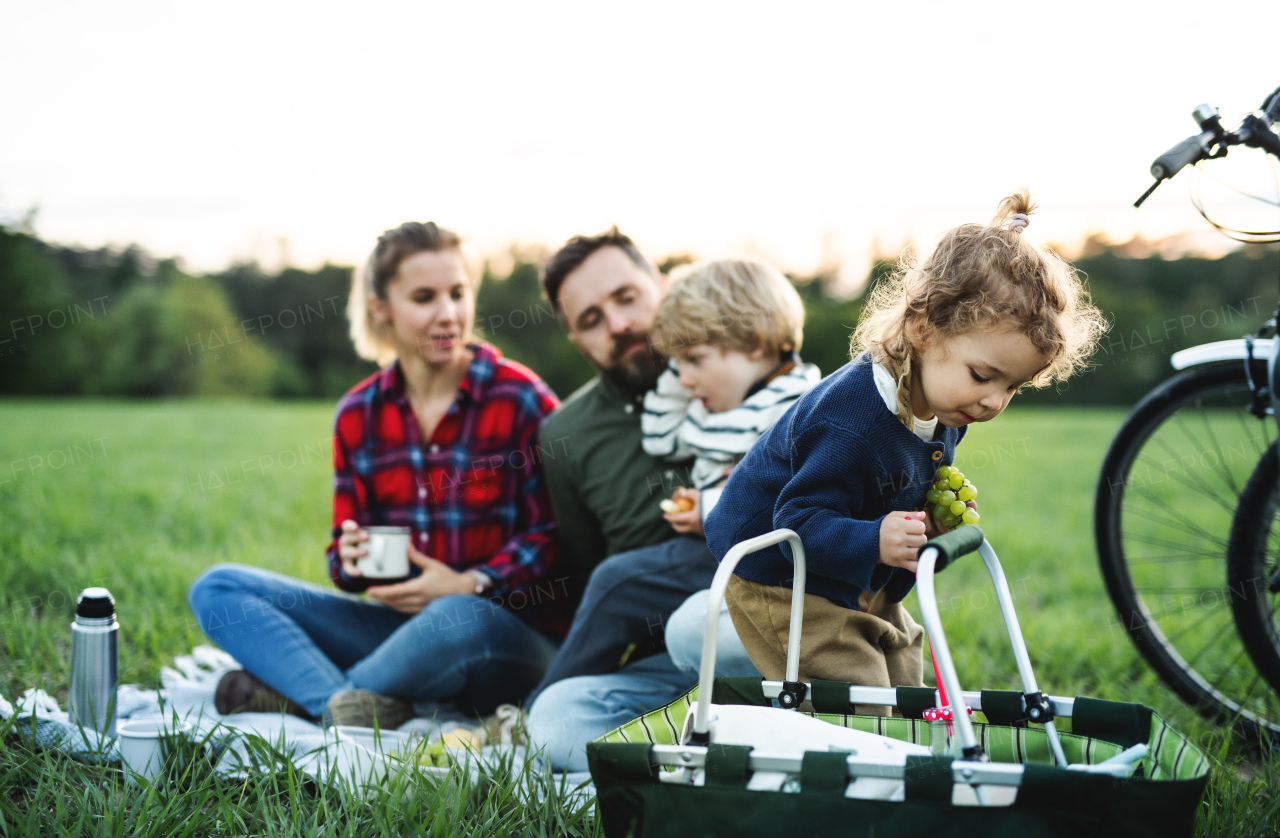 Front view of family with two small children on cycling trip, sitting on grass and resting.