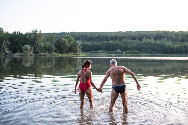 Rear view of senior couple in swimsuit standing in water in lake outdoors before swimming.