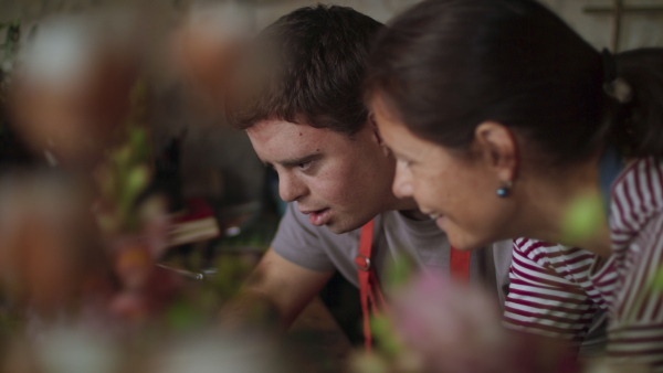 A close up of young male florist with Down syndrome working on laptop with help of mentoring colleague indoors in flower shop.