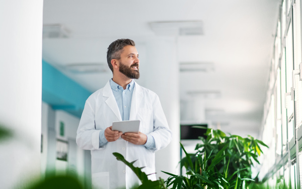 Portrait of man doctor standing in hospital, using tablet. Copy space.