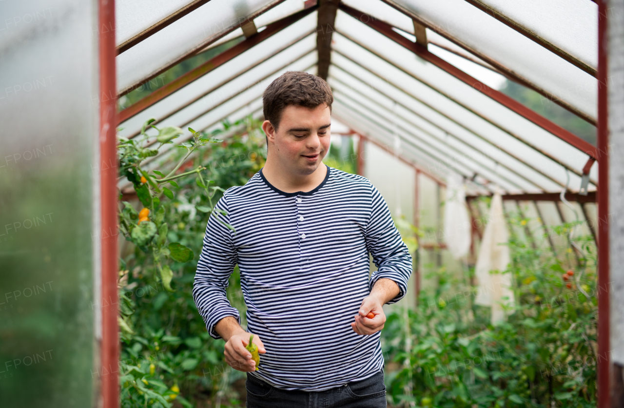 Happy down syndrome adult man walking in greenhouse, gardening concept.