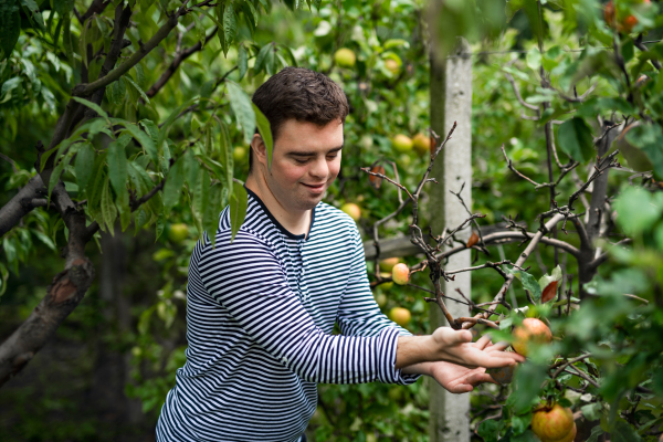 Front view portrait of down syndrome adult man standing outdoors among fruit trees.