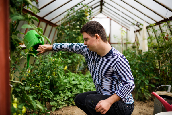 Side view of down syndrome adult man watering plants in greenhouse, gardening concept.