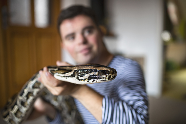 Portrait of down syndrome adult man sitting indoors in bedroom at home, playing with pet snake.