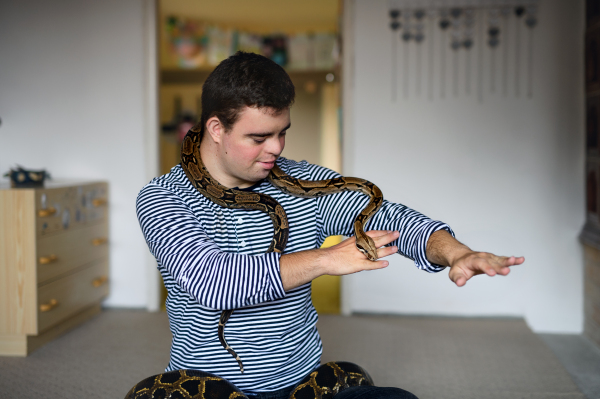 Portrait of down syndrome adult man sitting indoors in bedroom at home, playing with pet snake.