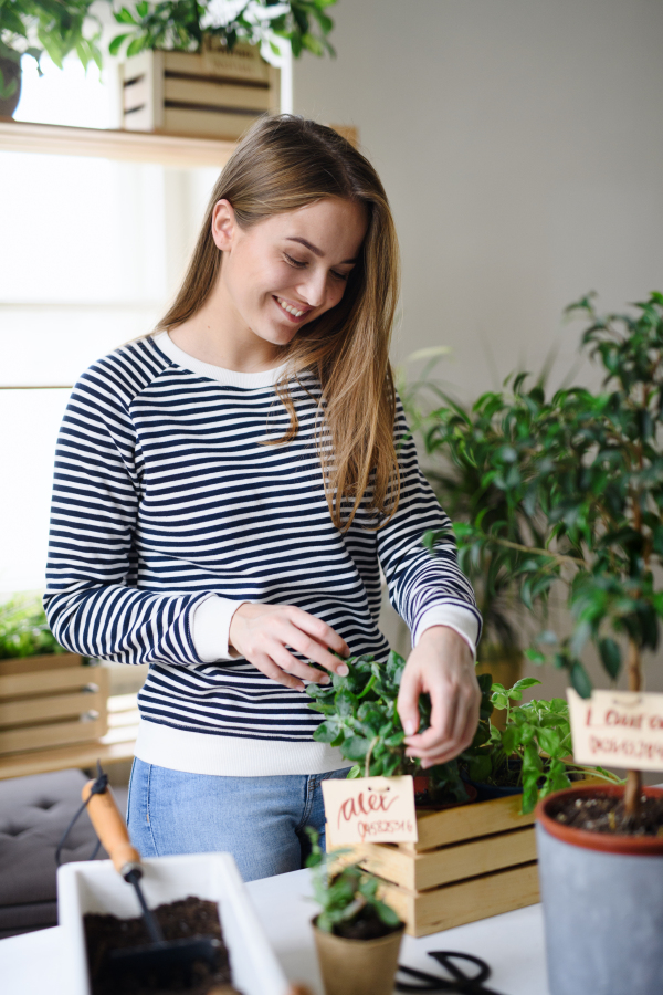 Young woman working at home, plant care concept. Coronavirus concept.