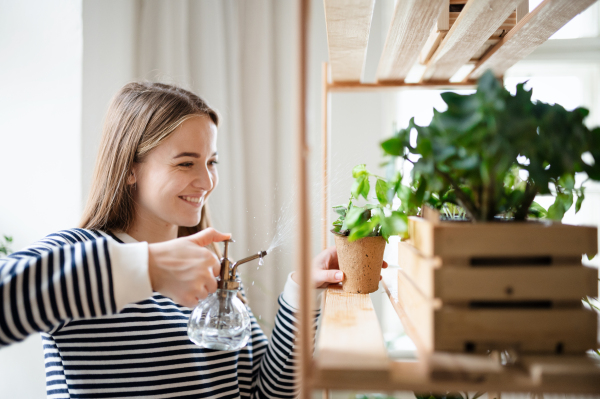 Young woman working at home, plant care concept. Coronavirus concept.