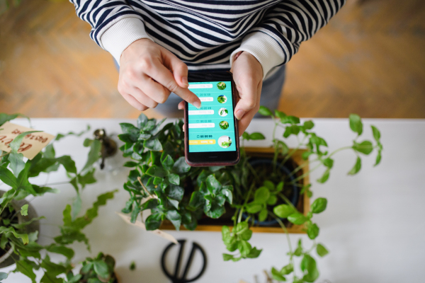 Unrecognizable young woman with smartphone working at home, plant care concept. Coronavirus concept.