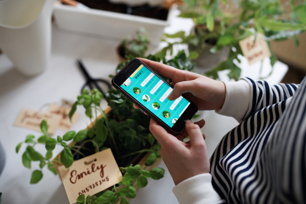 Unrecognizable young woman with smartphone working at home, plant care concept. Coronavirus concept.