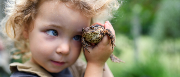 Close up portrait of happy small girl holding a frog outdoors in summer.