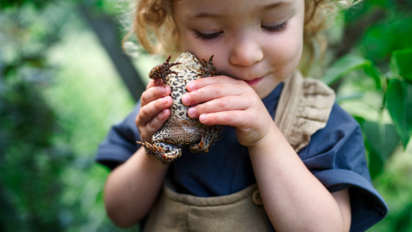 Close up portrait of happy small girl holding a frog outdoors in summer.