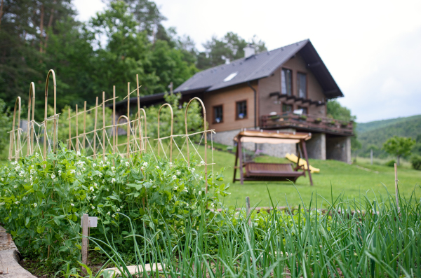 A vegetable garden in the backyard in the countryside, sustainable lifestyle.