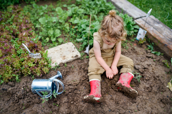 Top view of small girl working in vegetable garden, sustainable lifestyle concept.