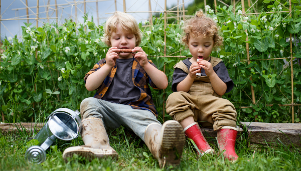 Portrait of two small children in vegetable garden, sustainable lifestyle concept.