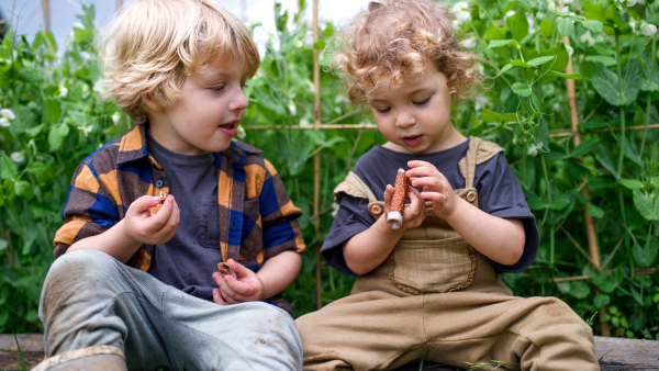 Portrait of two small children in vegetable garden, sustainable lifestyle concept.