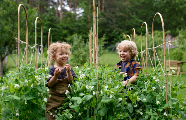 Portrait of two small children in vegetable garden, sustainable lifestyle concept.