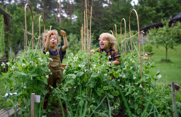 Portrait of two small children in vegetable garden, sustainable lifestyle concept.