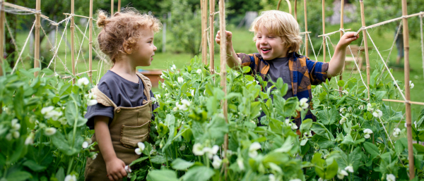 Portrait of two small children in vegetable garden, sustainable lifestyle concept.