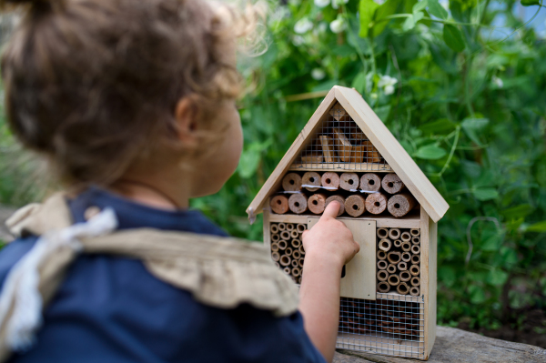 A rear view of small girl playing with bug and insect hotel in garden, sustainable lifestyle.