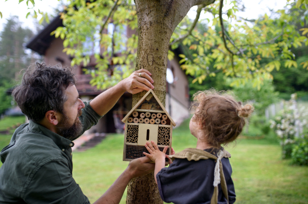 Rear view of small girl with father holding bug and insect hotel in garden, sustainable lifestyle.