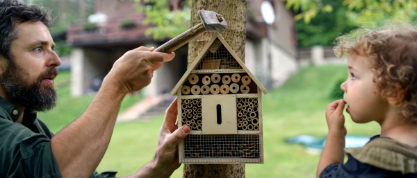 Rear view of small girl with father holding bug and insect hotel in garden, sustainable lifestyle.