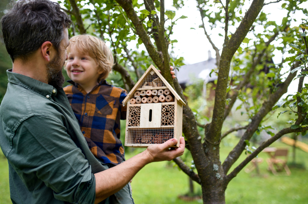 Happy small boy with father holding bug and insect hotel in garden, sustainable lifestyle.