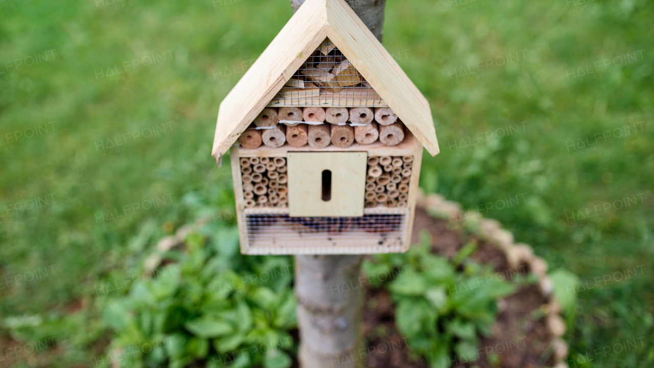 Front view of insect hotel on tree in garden, sustainable lifestyle.