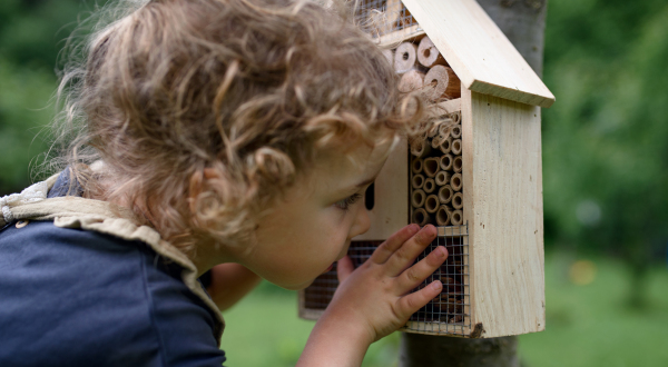 Happy small girl playing with bug and insect hotel in garden, sustainable lifestyle.