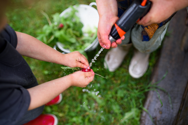 Midsection of unrecognizable two small children in vegetable garden, sustainable lifestyle.