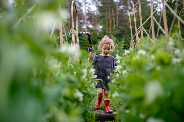 Portrait of small girl walking in vegetable garden, sustainable lifestyle concept.