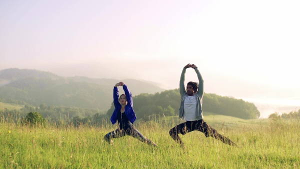 Front view of young couple doing exercise on meadow outdoors in nature early in the morning, stretching.