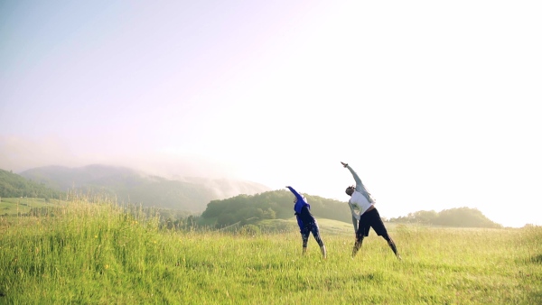 Front view of young couple doing exercise on meadow outdoors in nature early in the morning, stretching. Slow motion.