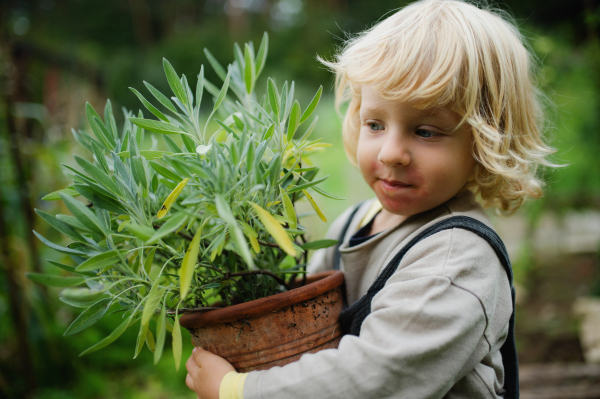 Side view portrait of small boy with eczema standing outdoors, holding potted plant.